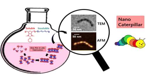 [11] 2012_JACS_KYY.gif