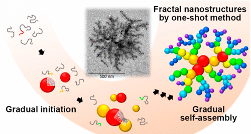 [58] 2018_JACS_SSY.gif