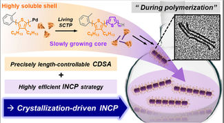 Synchronous Preparation of Length-Controllable 1D Nanoparticles via Crystallization-Driven In Situ Nanoparticlization of Conjugated Polymers