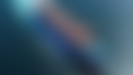 Optimizing Maritime Operations with Custom IT Solutions