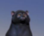 bear2.jpg