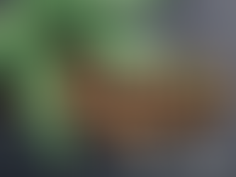 《聰明的管家系列》大麻的種子炒熟後居然成為中藥品