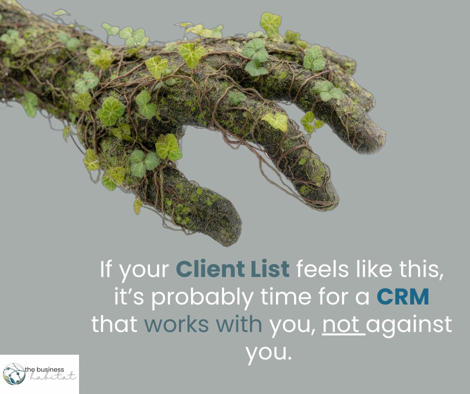 CRM Whispering: Finding Your Business's Digital Sweet Spot Without Breaking the Bank