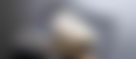 德島市 │ 德島代表和菓子老店【 菓游茜庵 】