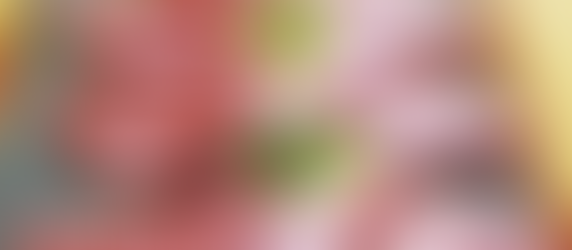 熊本市 │ 必叫馬肉刺身【 馬料理天國 】