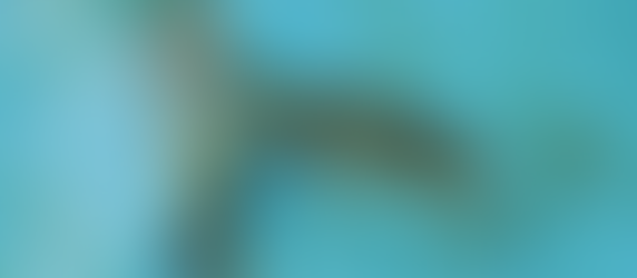 山口縣 │ 手信大集匯【 長府觀光會館 】