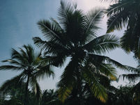 A Family Trip to India and Dubai