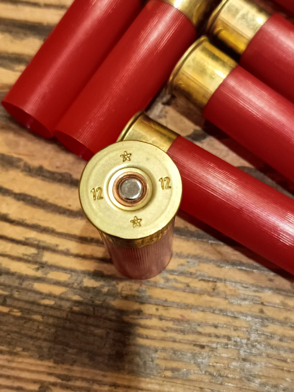 Miniatura: Bossoli Fiocchi T3 cal 12 rosso