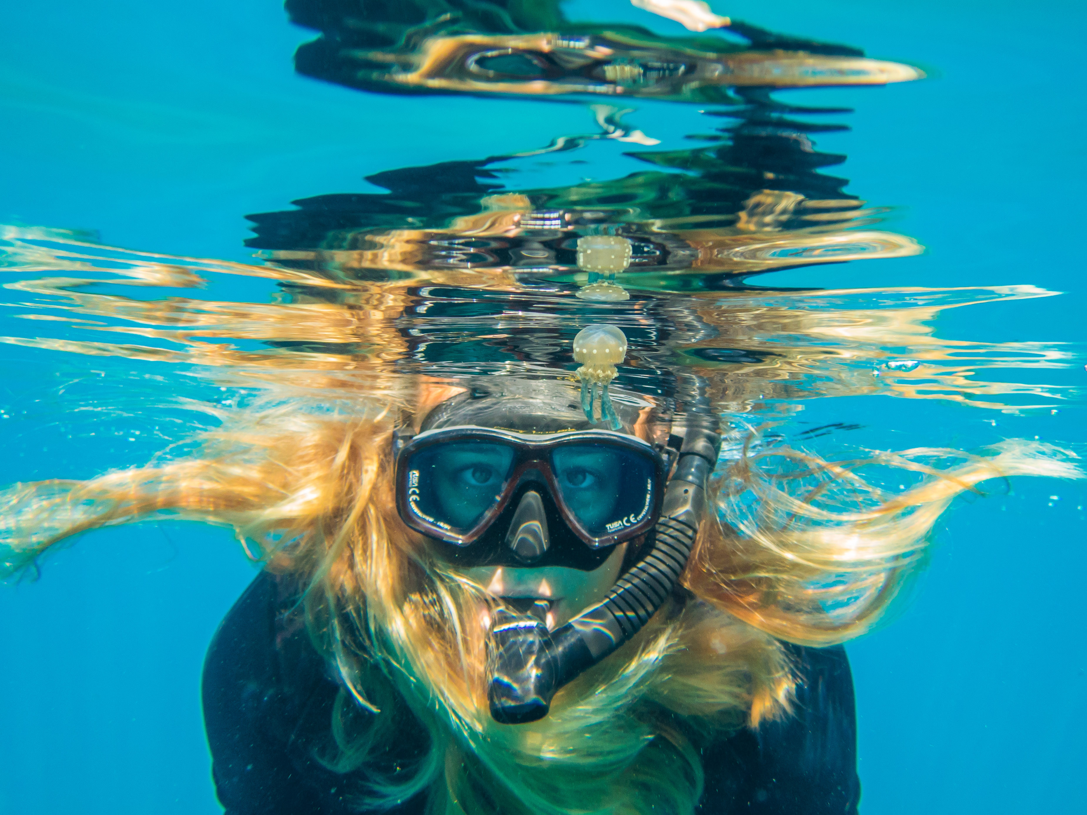 Best Snorkeling in Fiji/Ocean Ventures Fiji/Savusavu, Fiji