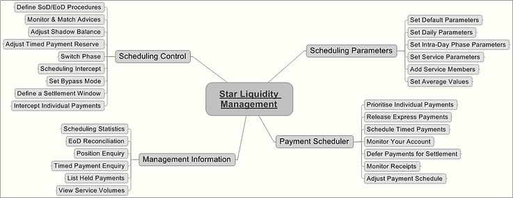 STAR Liquidity Management.jpeg
