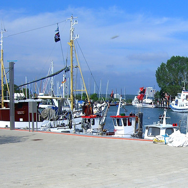 CIMG2244a.jpg