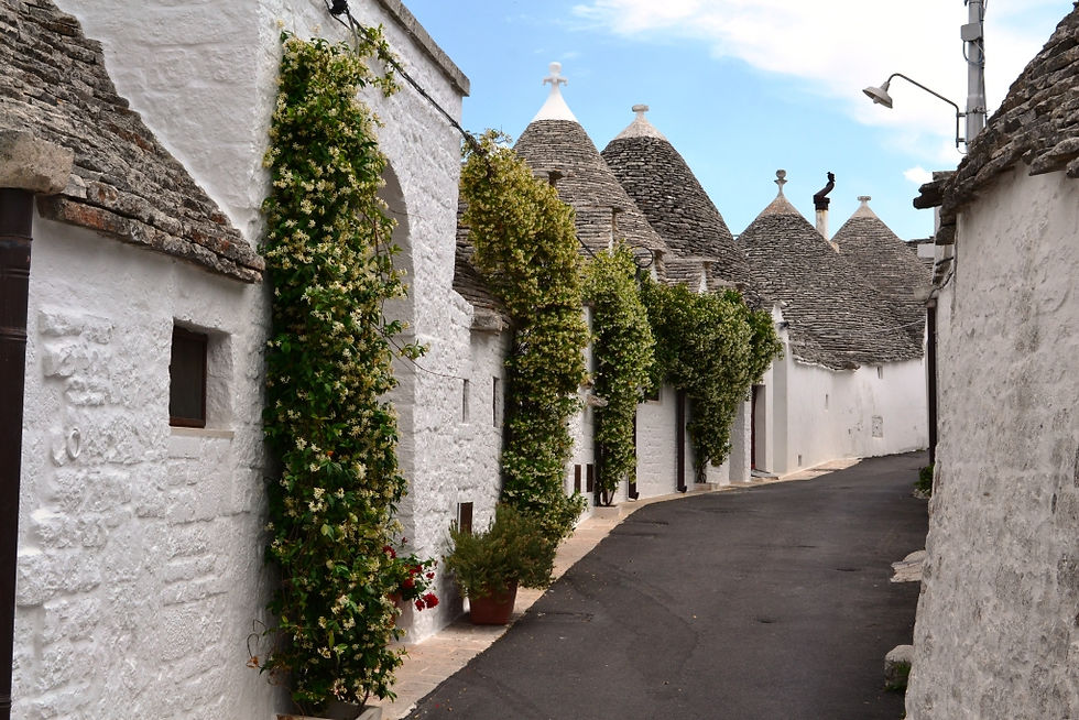Trulli properties
