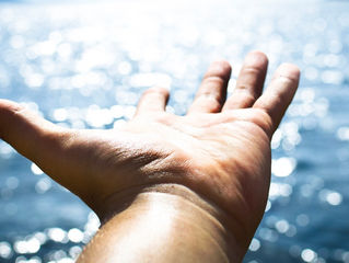 Newsletter - February 2, 2018