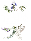 Quinta do Chafariz rural guesthouse in Central Portugal near Coimbra