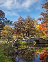 Botanical Gardens.jpg