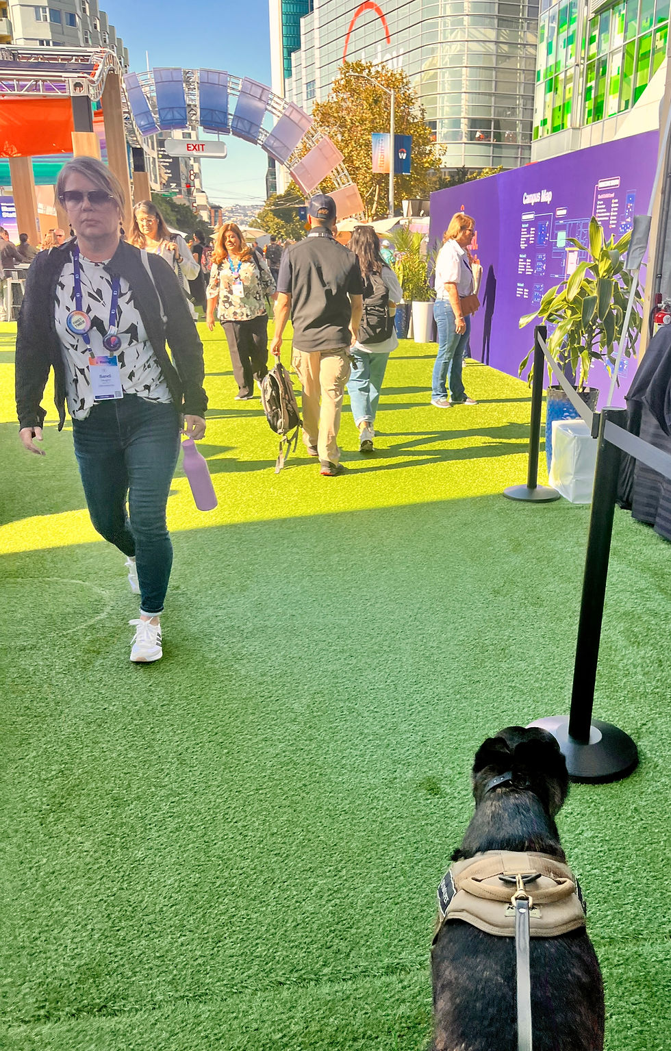 High angle view of a security checkpoint with advanced detection equipment