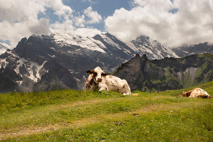 Cassie Kennedy_ Switzerland-6.jpeg