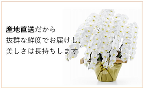 スクリーンショット 2026-03-14 090424.png