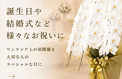 cardsorezore - コピー (2).png