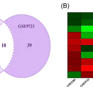 [AWC 3rd Place] Rewriting Destiny: Genetic Engineering's Potential in P. gingivalis-Associated AD