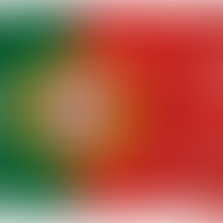 6.04.25 - מאמר 3/25 - מיסוי השקעות בפורטוגל