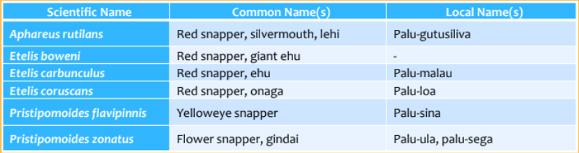 Council recommended the BMUS change from 11 to 6 species, focusing on data-rich deepwater snappers. Photo courtesy of NOAA-PIFSC