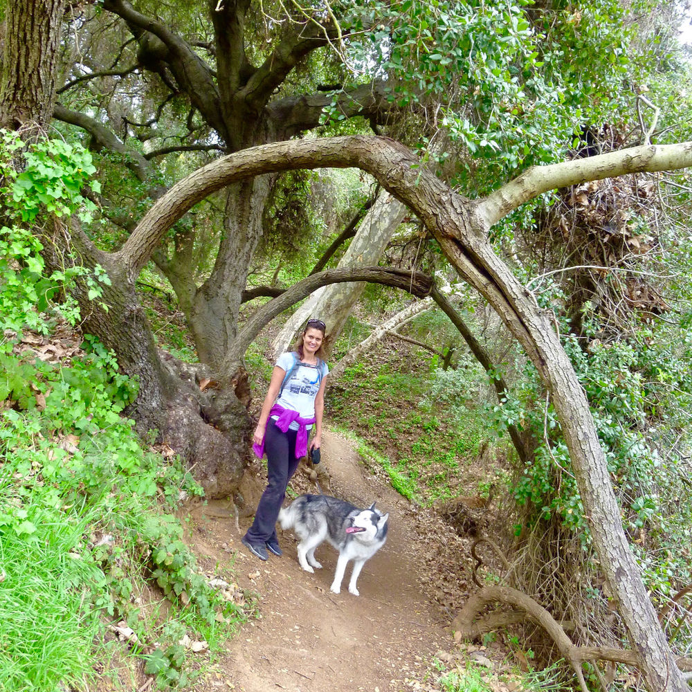 Dog Friendly Hikes in California