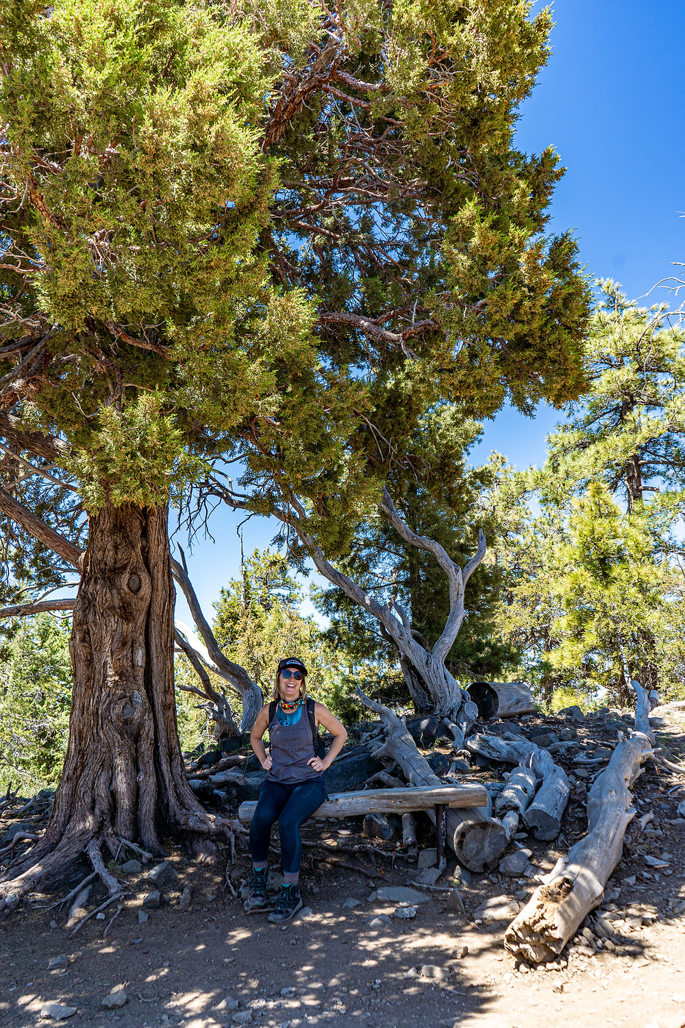 Sherwin Lakes Trail