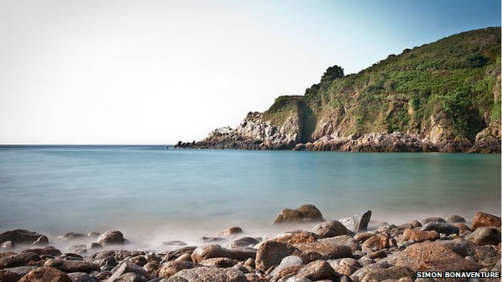 petit bot polar bears.jpg