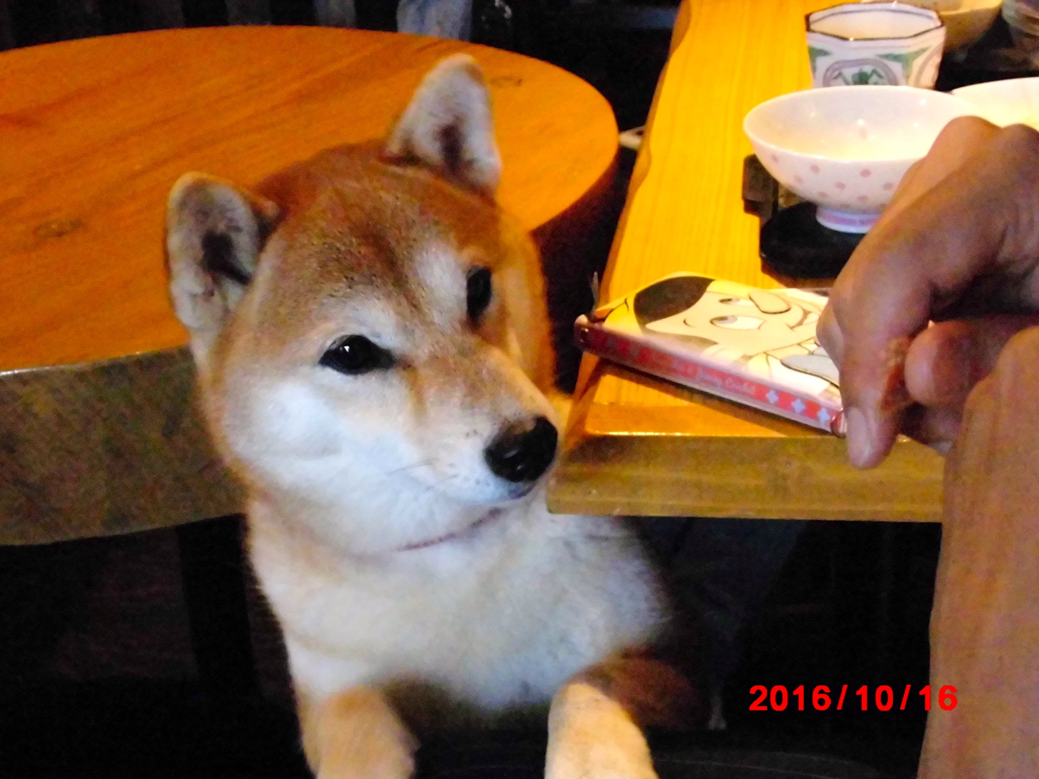 はる