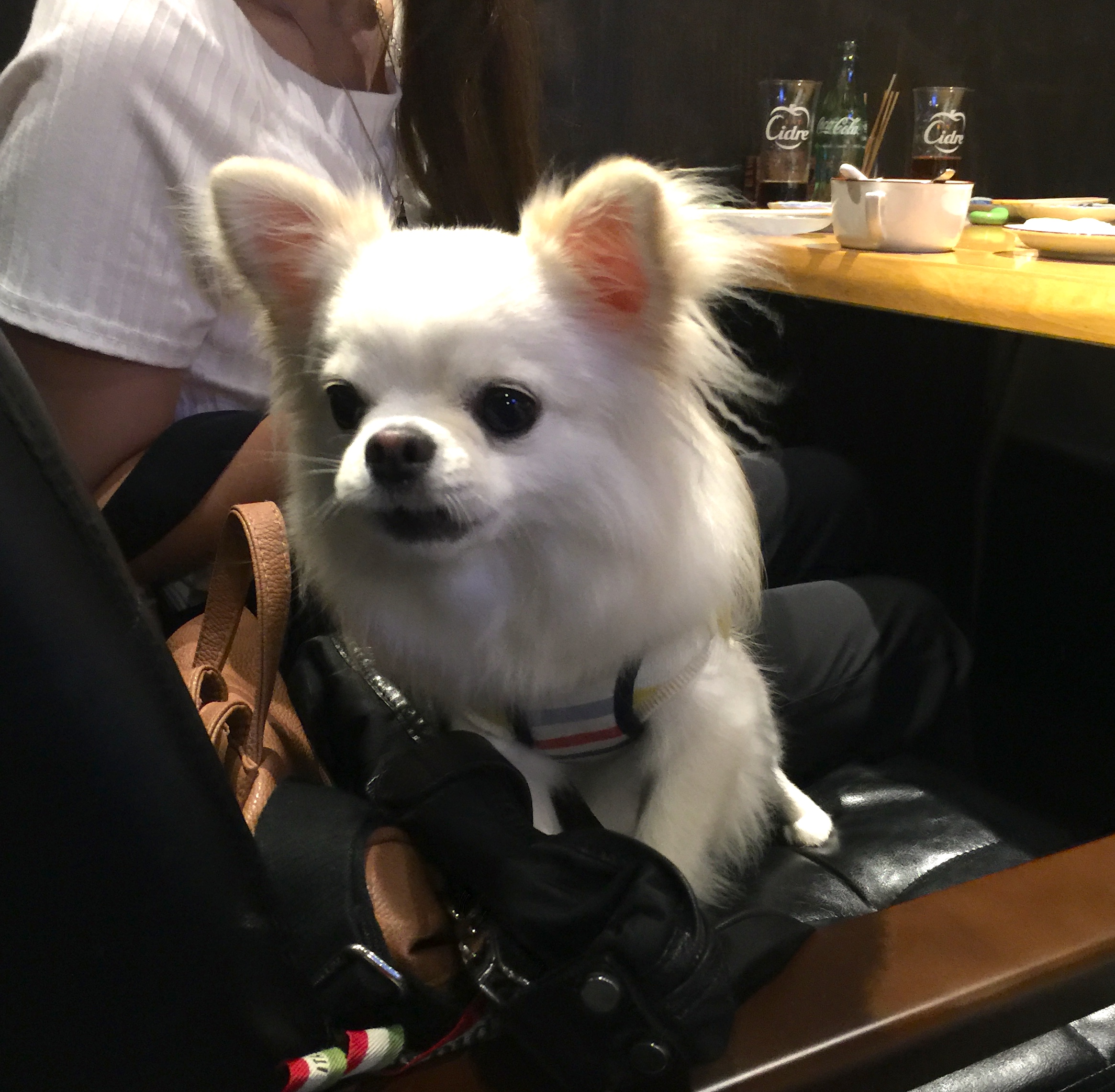 ちくわくん
