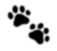 Paws emoji.png