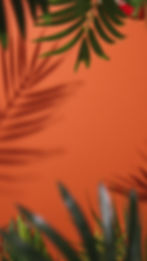 Thumbnail: Our "Flamboyant Flamingo" socks