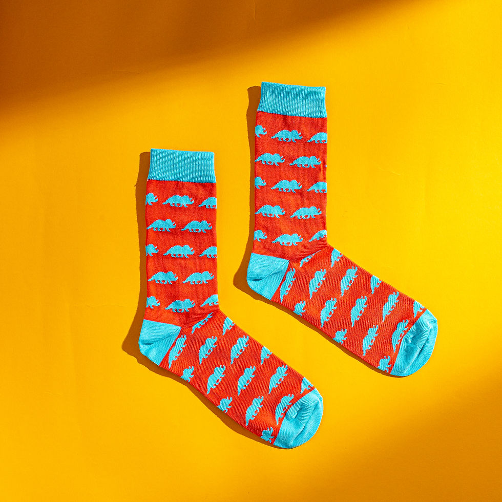 Thumbnail: Our "Tricera-socks" socks