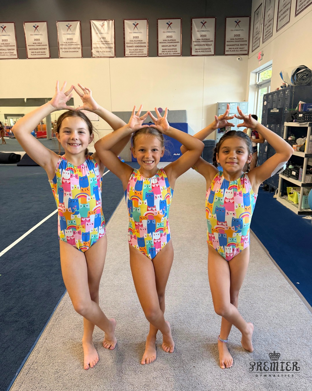 Premier Gymnastics