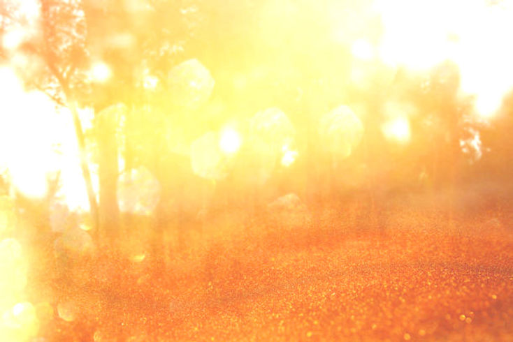 istockphoto-1019271138-612x612_edited.jpg