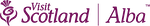 VS_corp_RGB_for_cookie_banner.png
