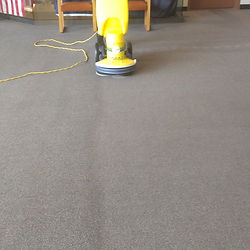 Best Carpet Cleaning In Scottsdale AZ