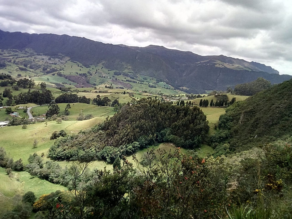 IMG-20181119-WA0023 (1)