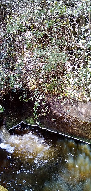 LA FUERZA DEL AGUA