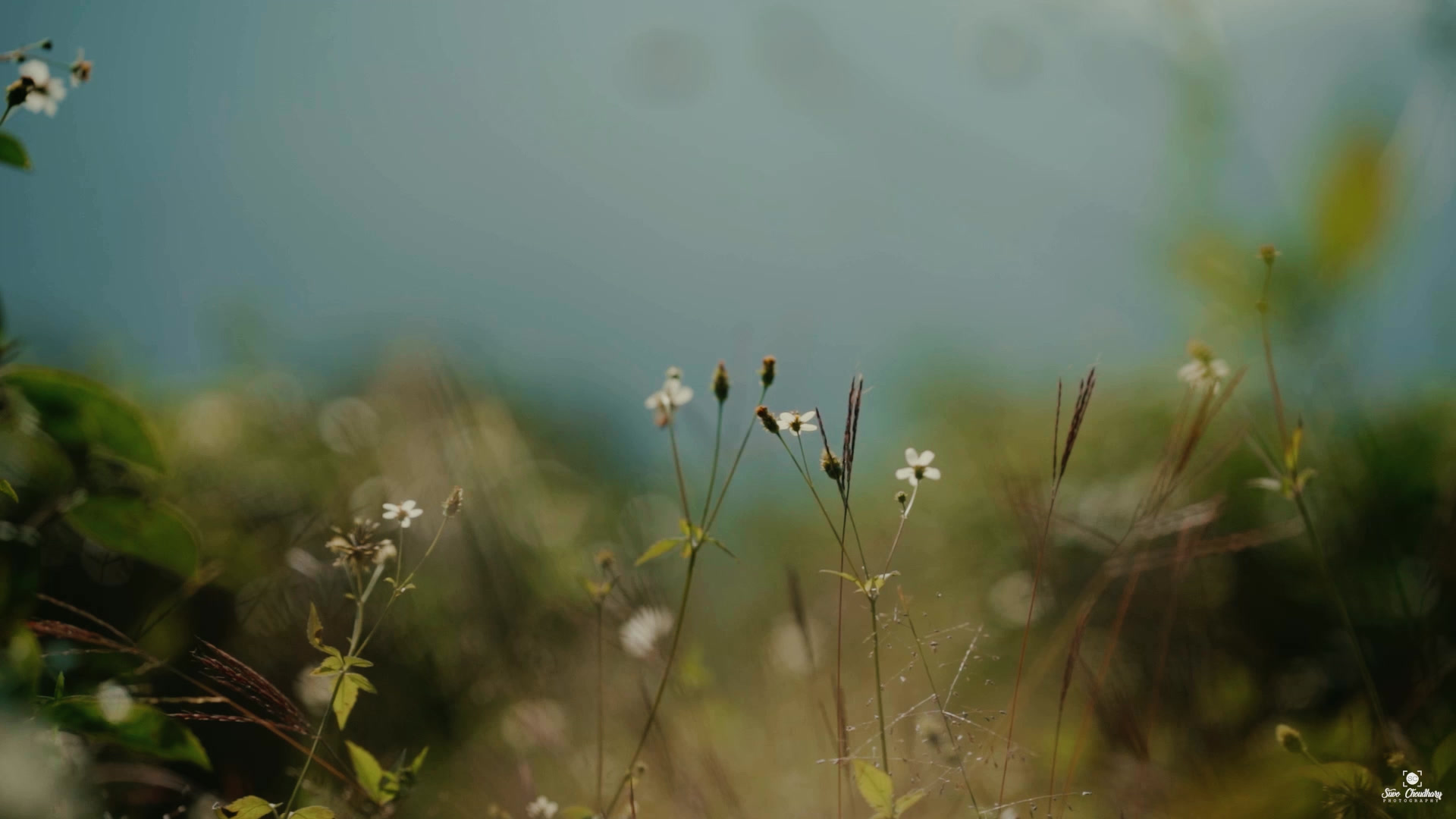 Wedding photographer Siliguri – pre-wedding shoot North Bengal – Suvo Weddings