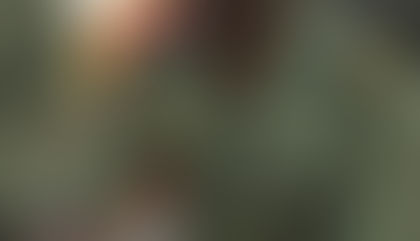 Processus de paix au Mali, Améliorer l’expertise féminine