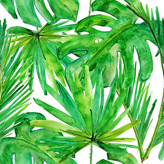 Les feuilles tropicales