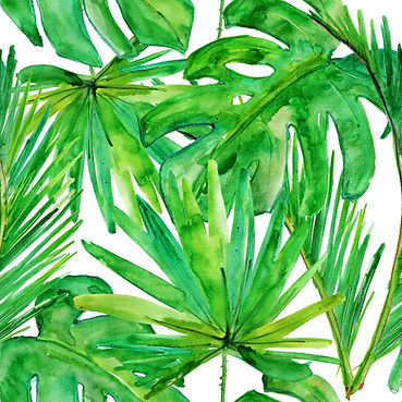 Tropical Leaves