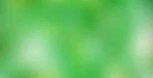 Tropical Leaves