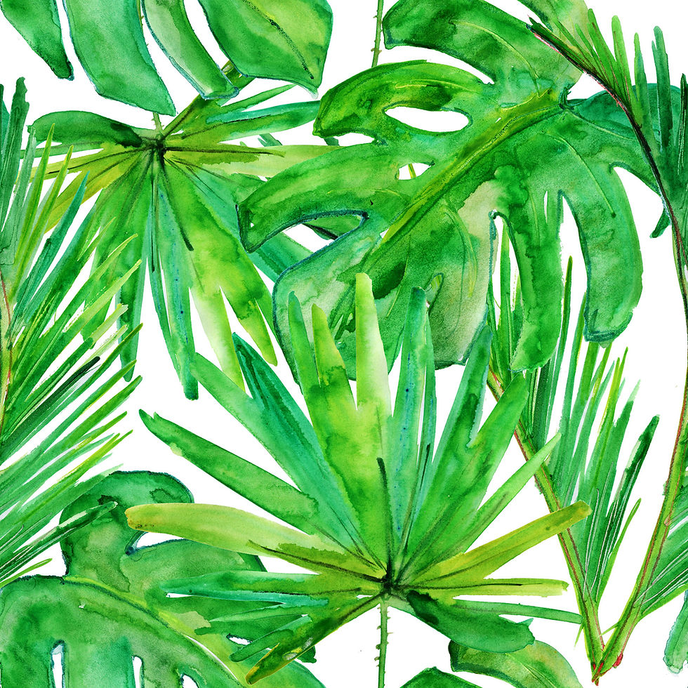 Green Tropical Leaves