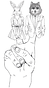 Rotated for box.png