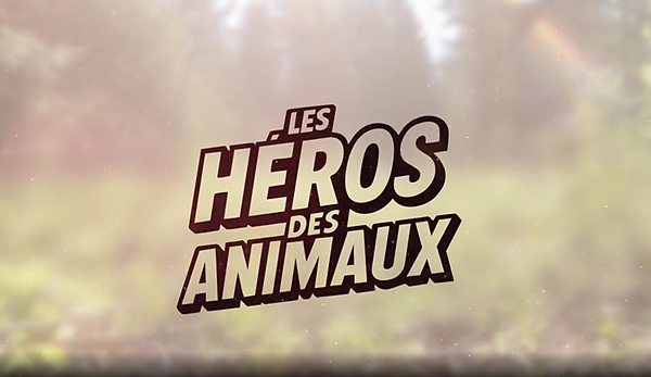 Canal zoom héros des animaux.png