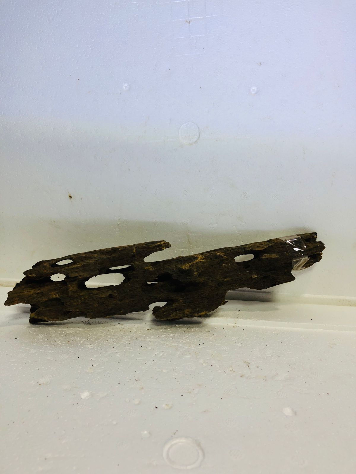 DRIFT WOOD[HONEY COMB]MEDIUM 32X8
