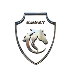 logo-.png